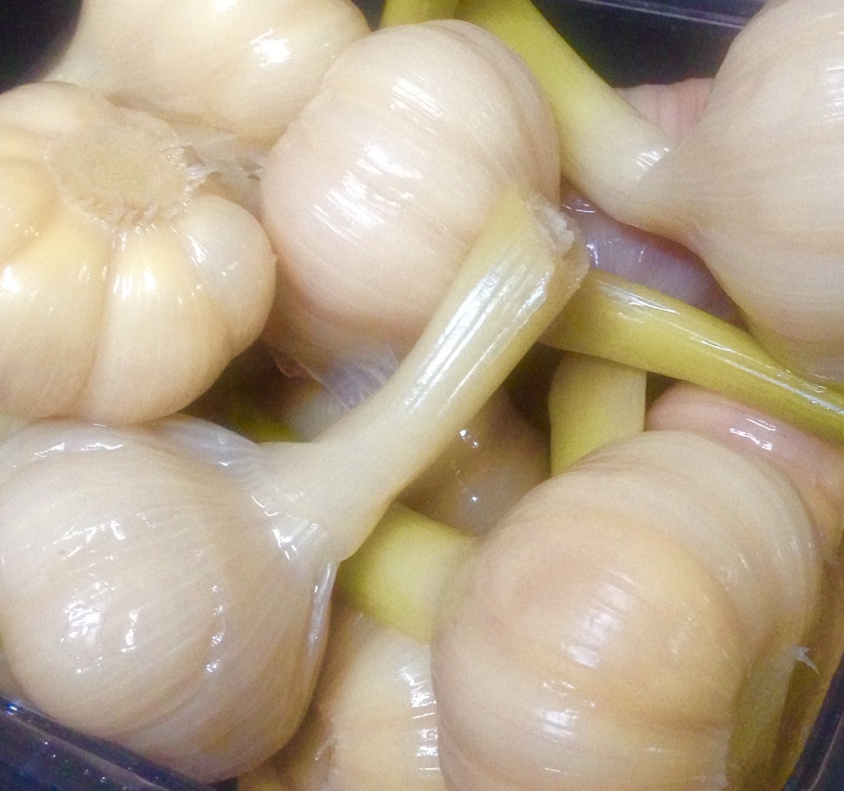 Чеснок соленый 